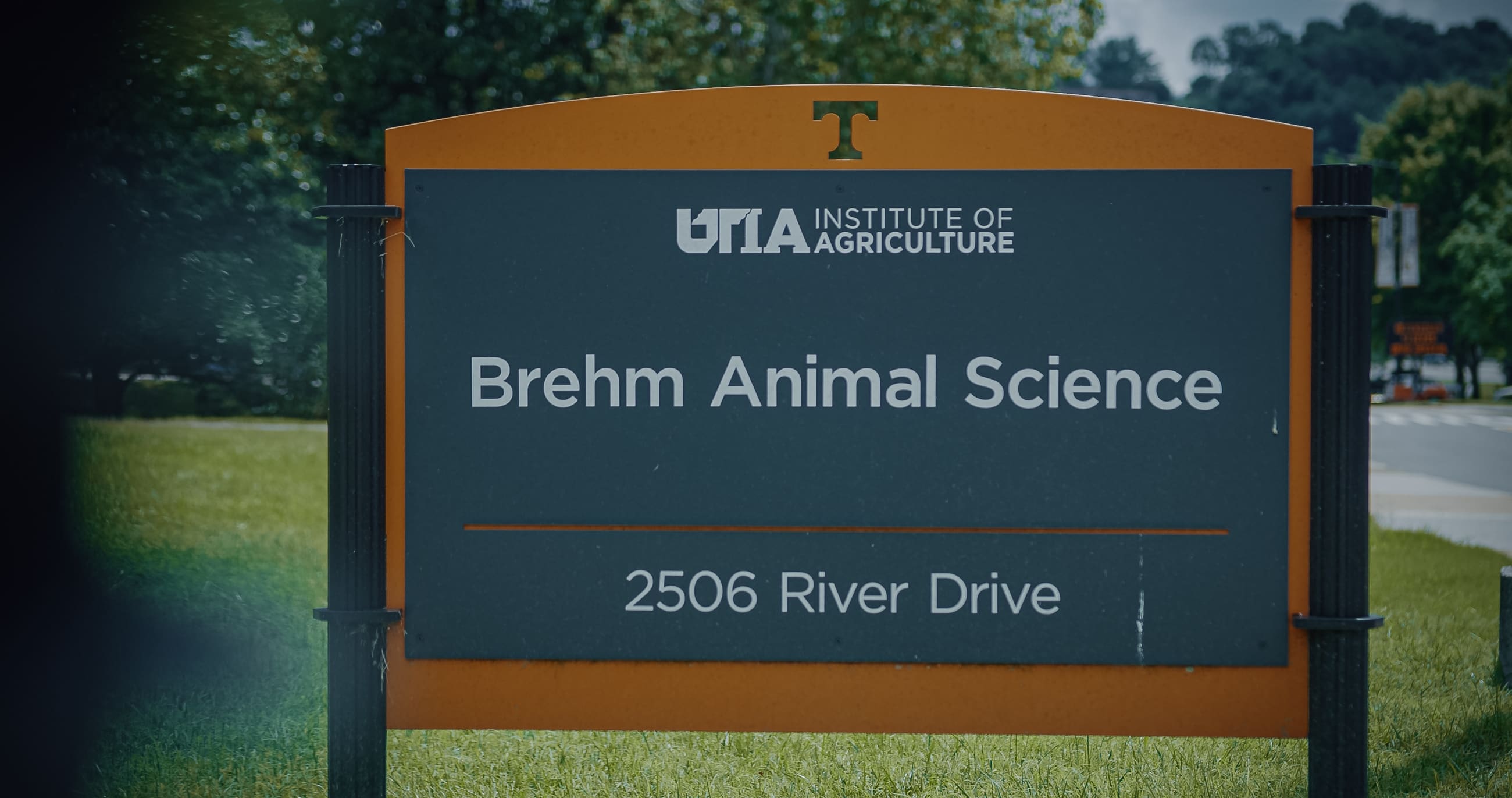 Projects C Laney & Sons